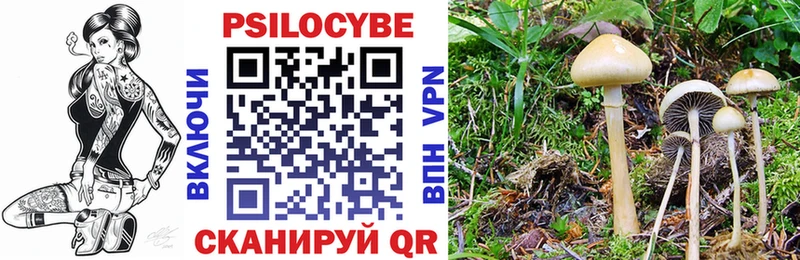 Псилоцибиновые грибы Psilocybe  Петушки 